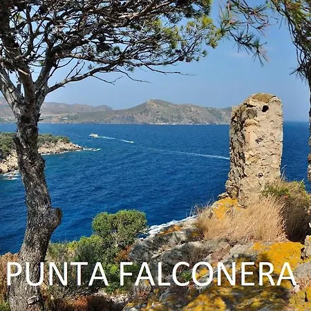 Apartamento Frente Al Mar Para 6 En Roses - Es-258-103 Daire